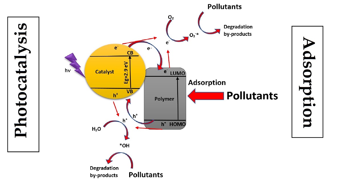 Graphical abstract